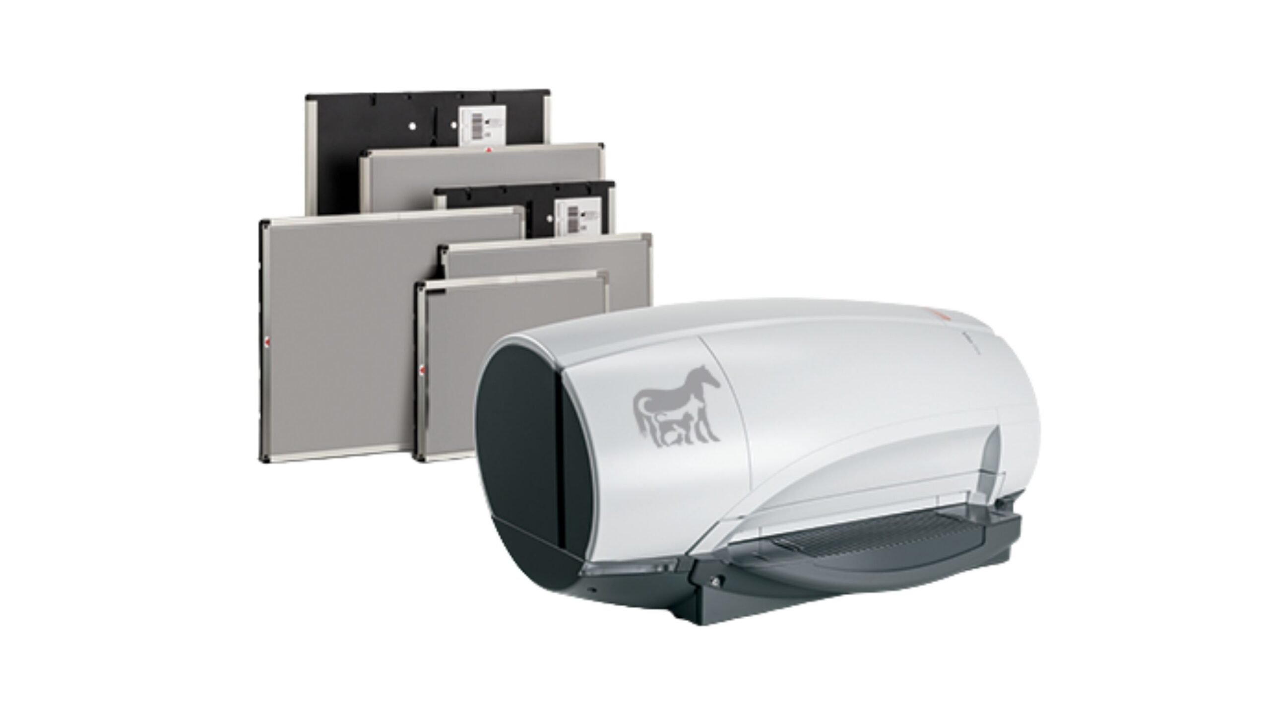 Cassette and screen for CR VitaFlex